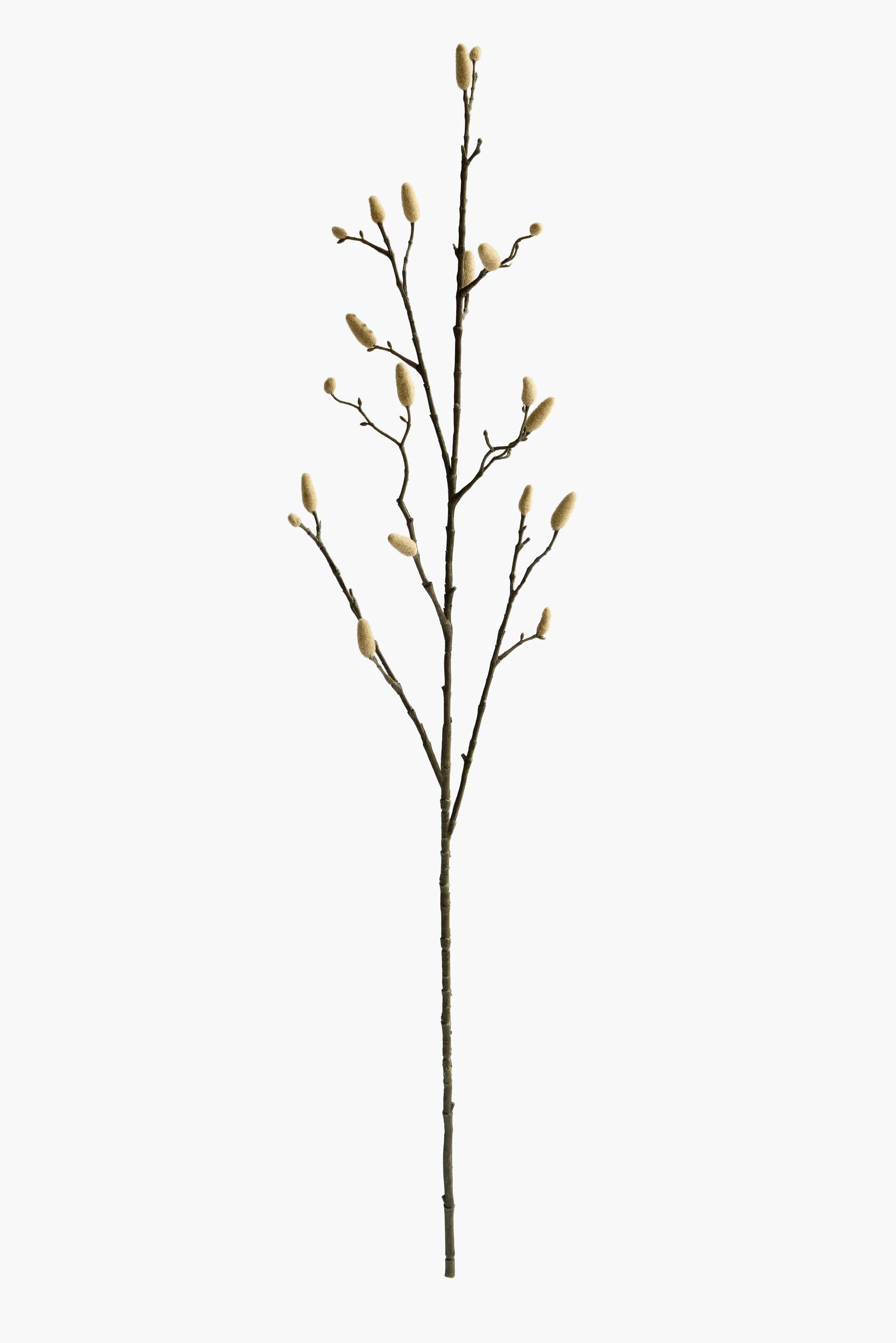 Large Branch Magnolia Buds - Cream