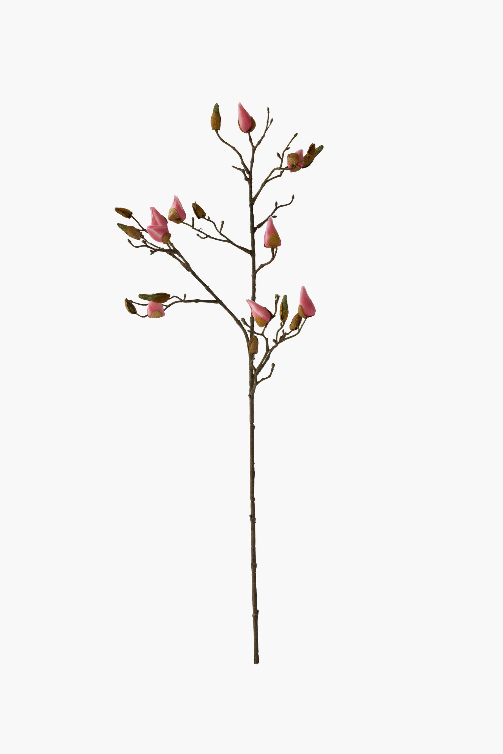 Medium Branch Magnolia Buds - Pink