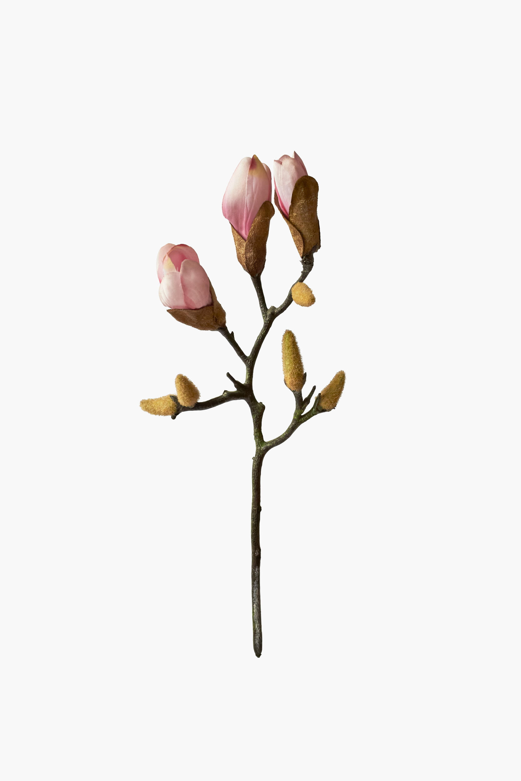 Short Branch Magnolia Buds - Pink