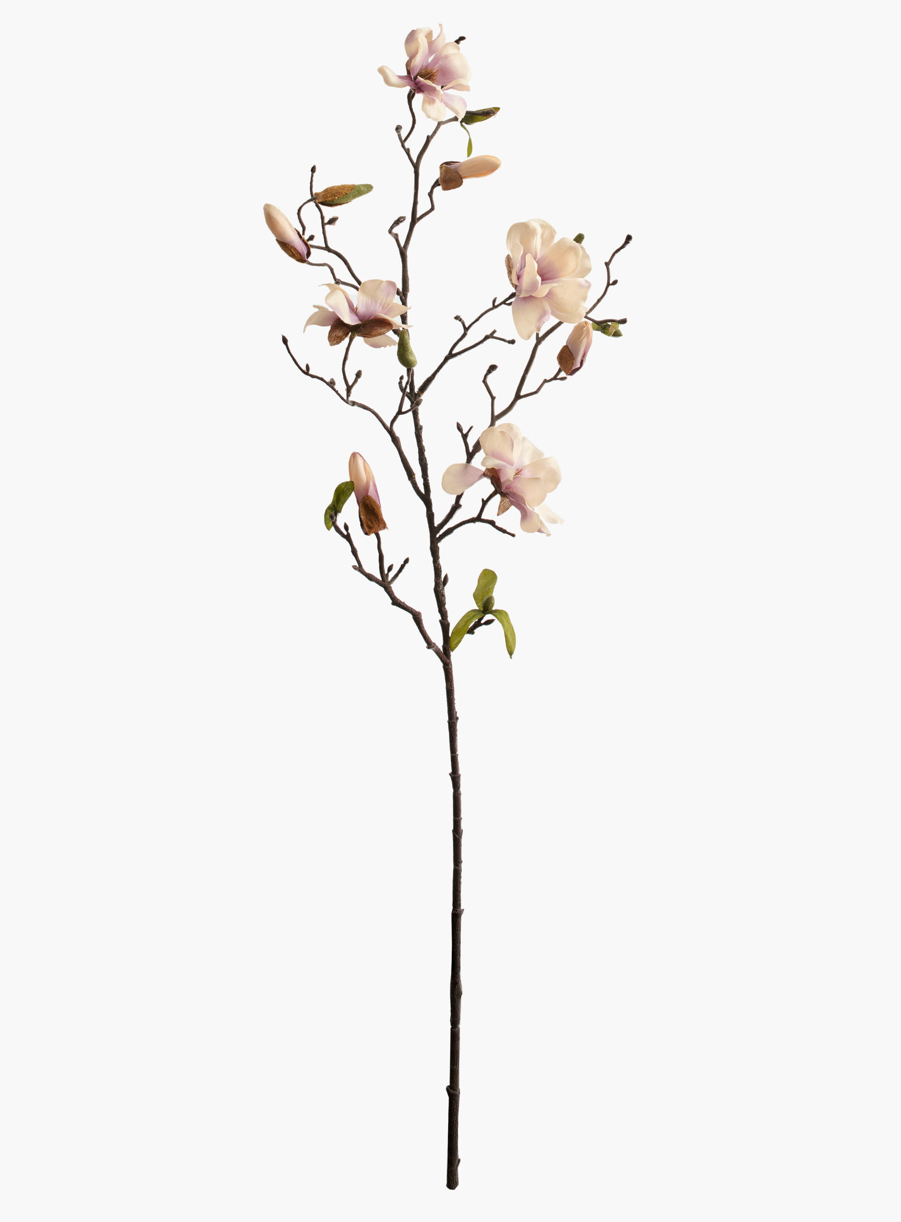 Medium Branch Saucer Magnolia - Pink