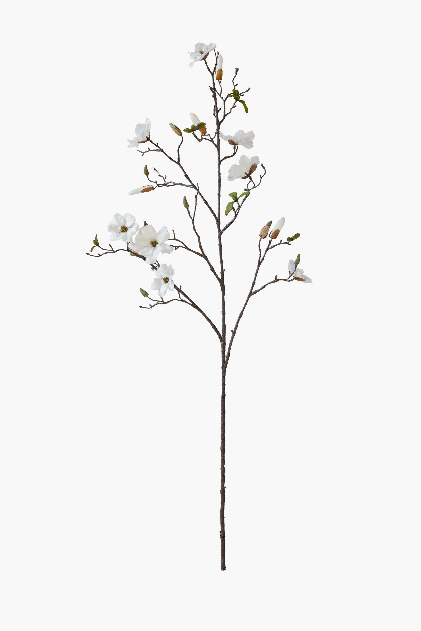 Large Branch Saucer Magnolia - White