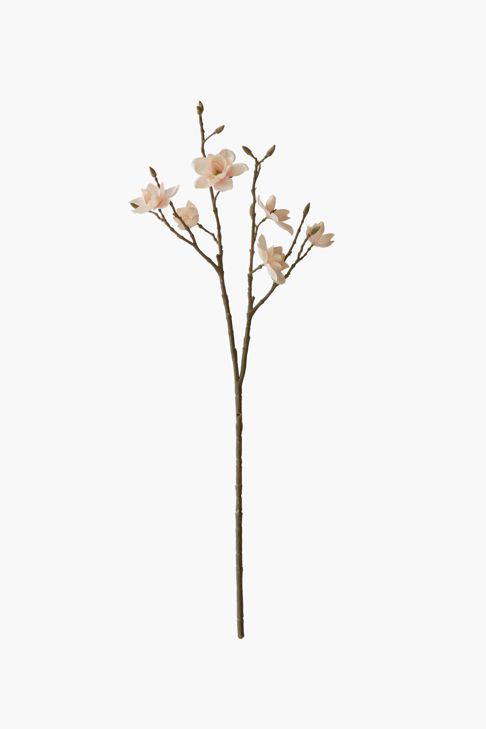 Medium Branch Southern Magnolia - Pink