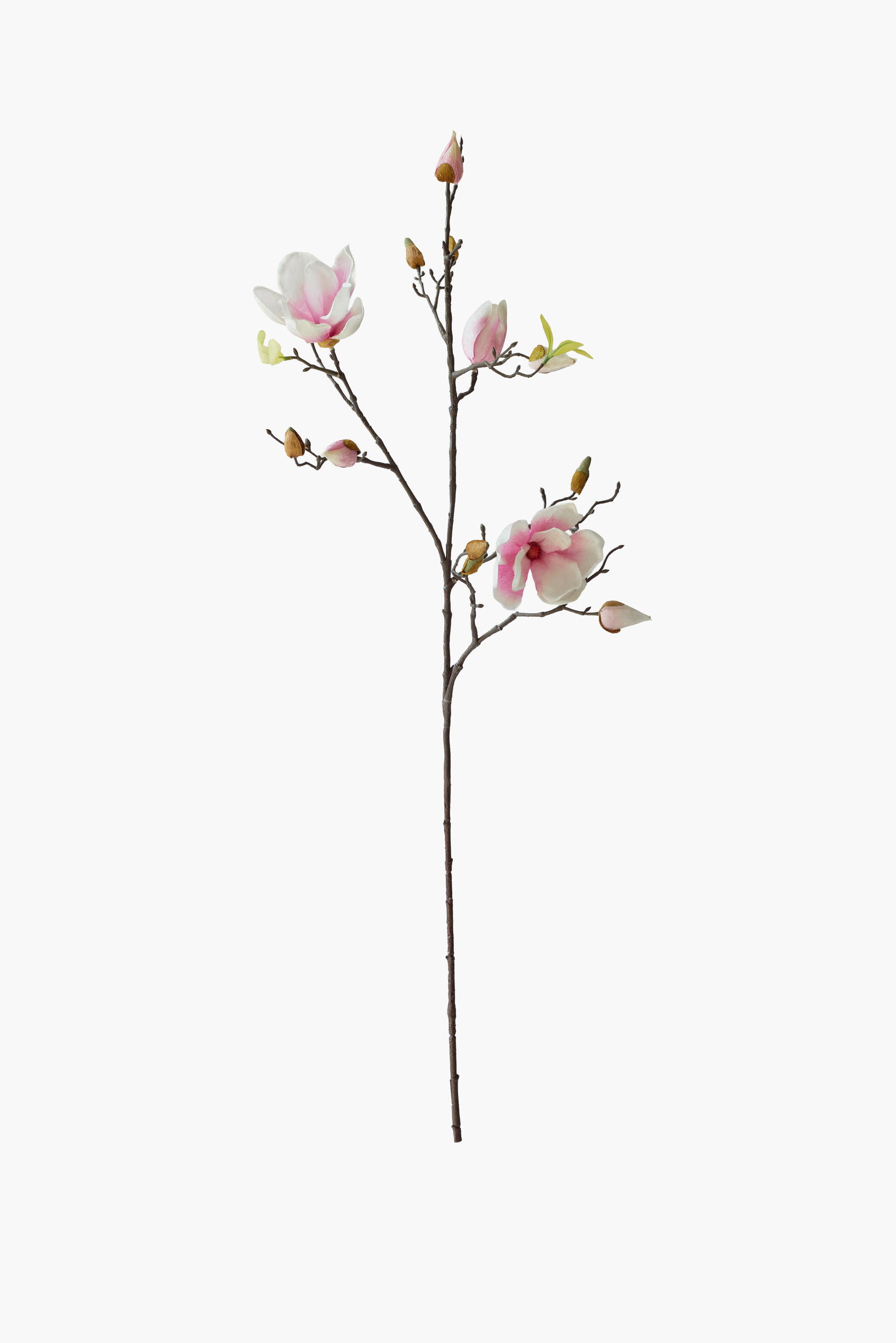 Medium Branch Yulan Magnolia - Light Pink (Cotton Fabric)