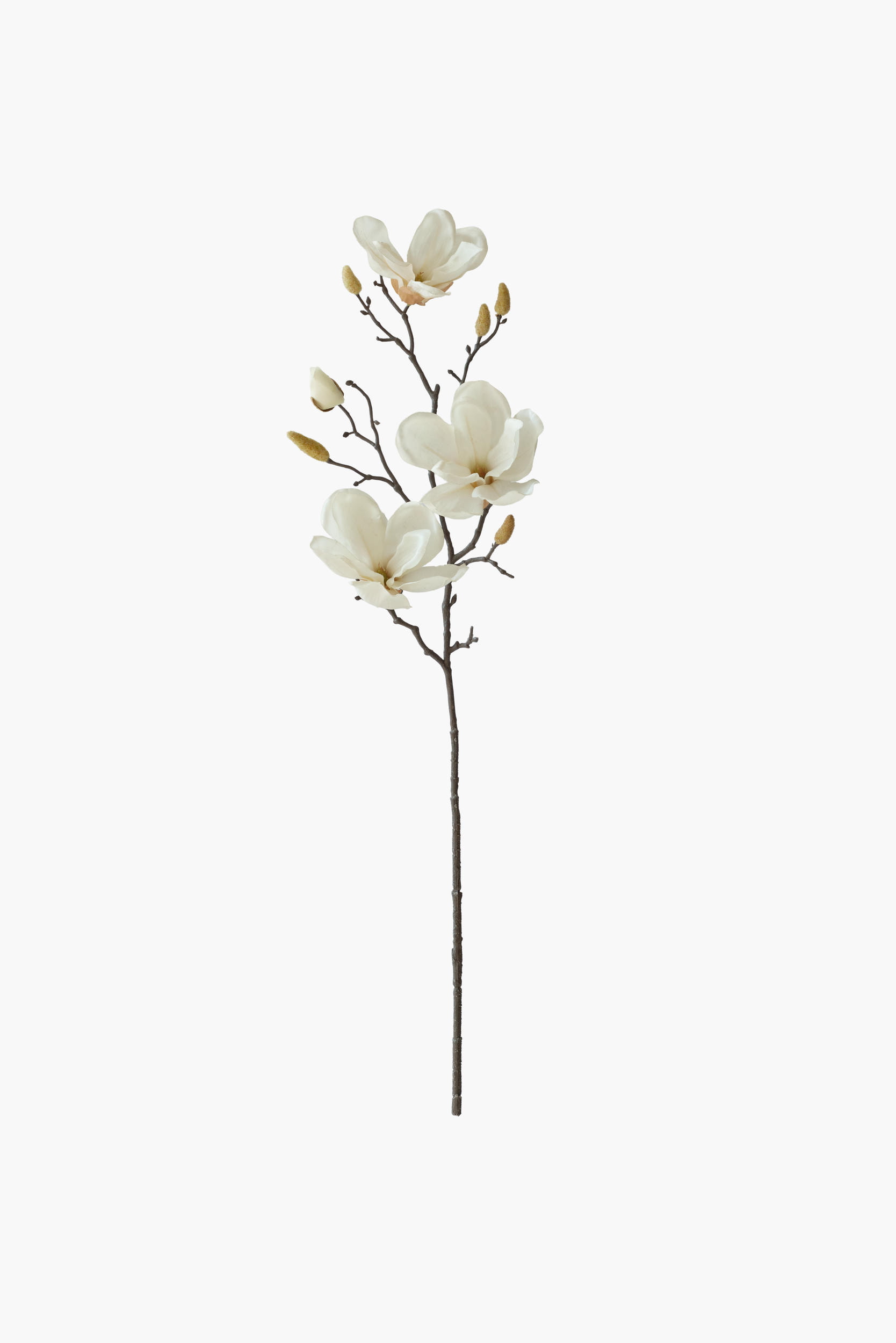 Medium Branch Yulan Magnolia - Cream