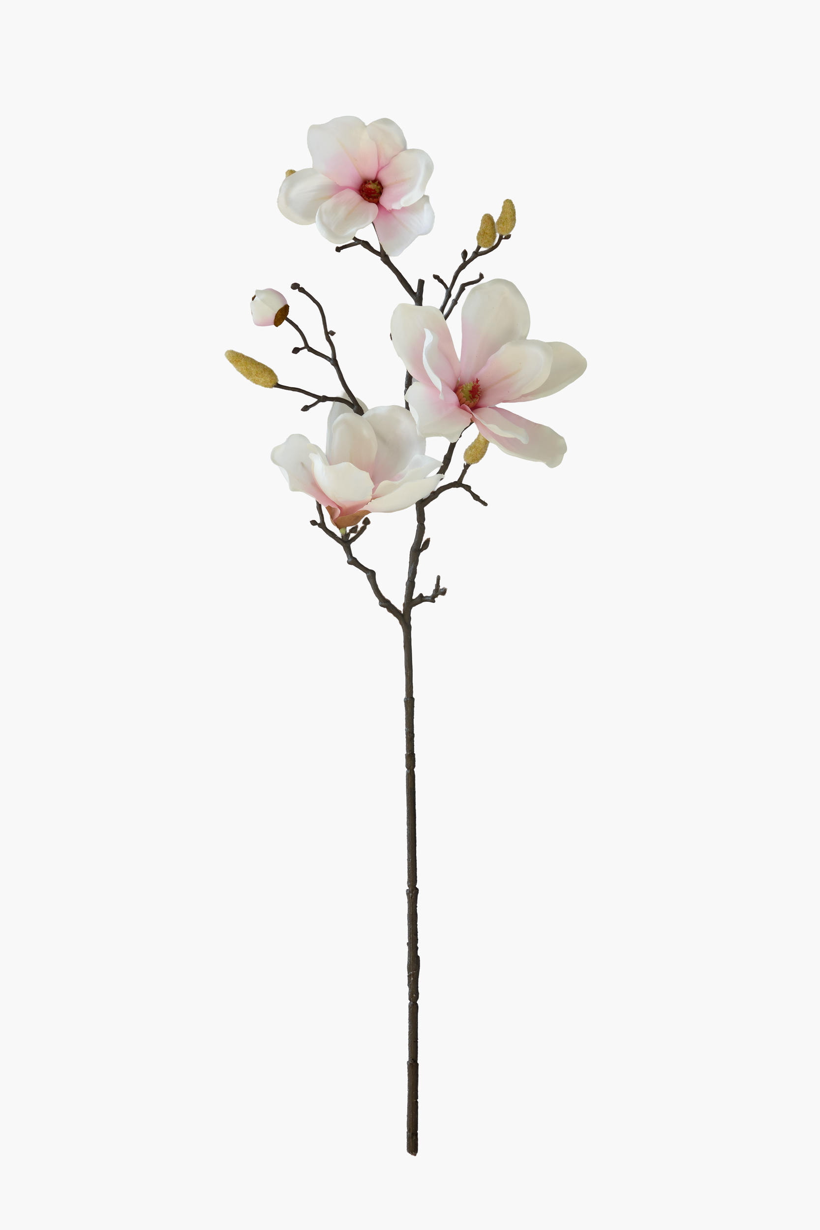Medium Branch Yulan Magnolia - Light Pink