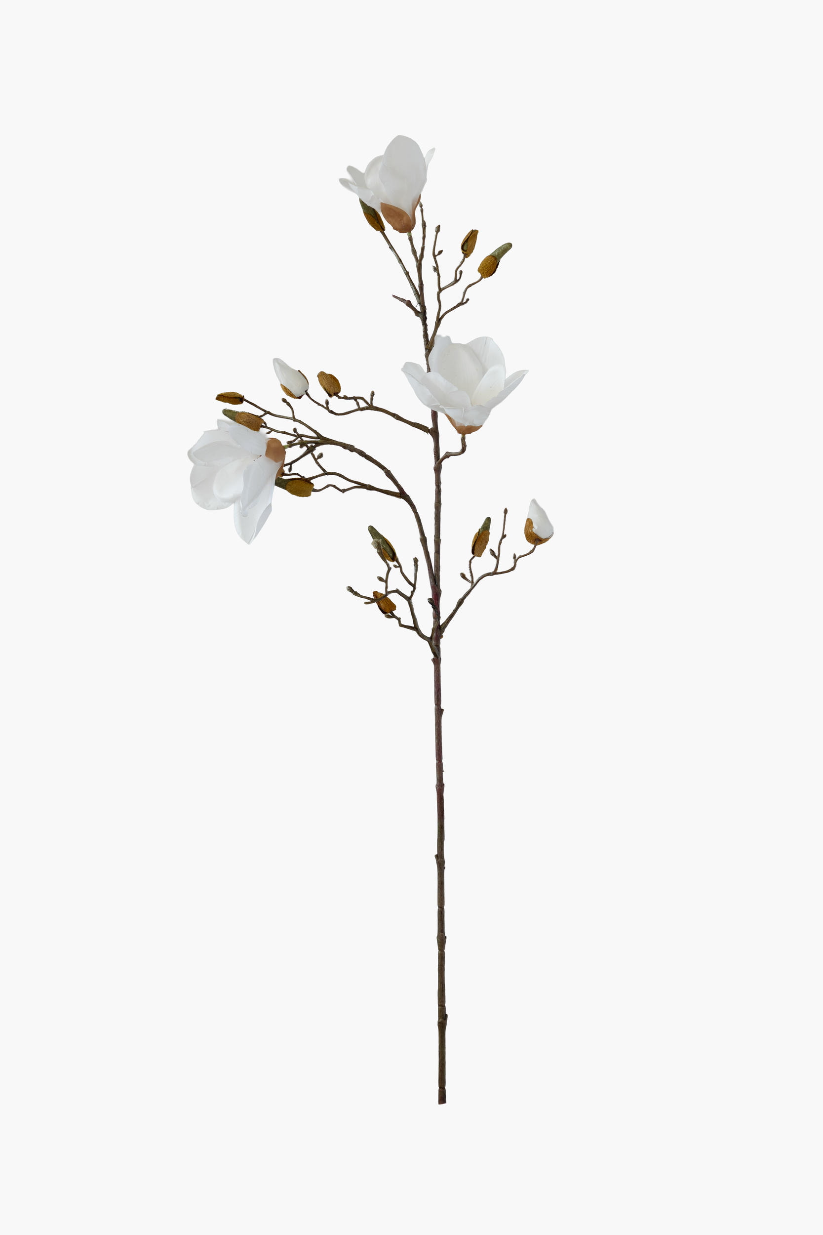90cm Medium Branch Yulan Magnolia (Real Touch) - White