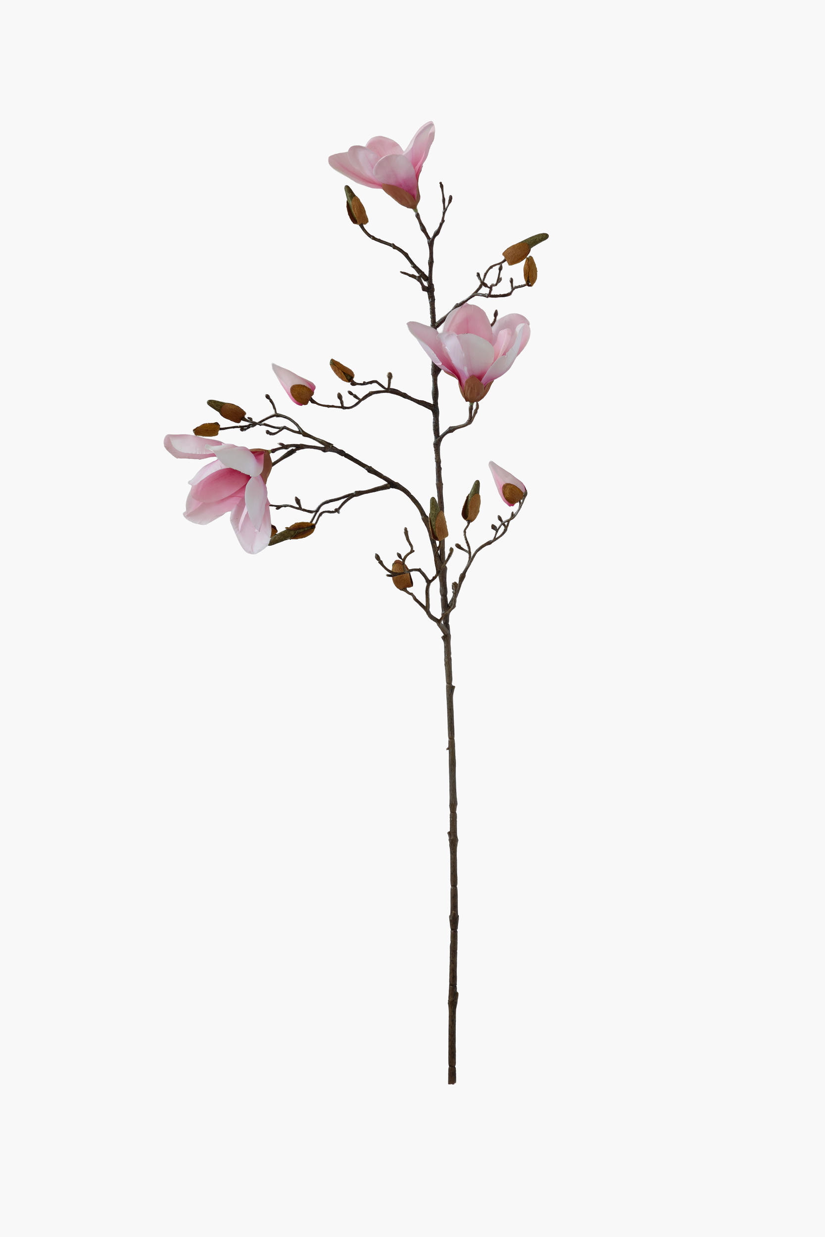90cm Medium Branch Yulan Magnolia (Real Touch) - Blush Pink