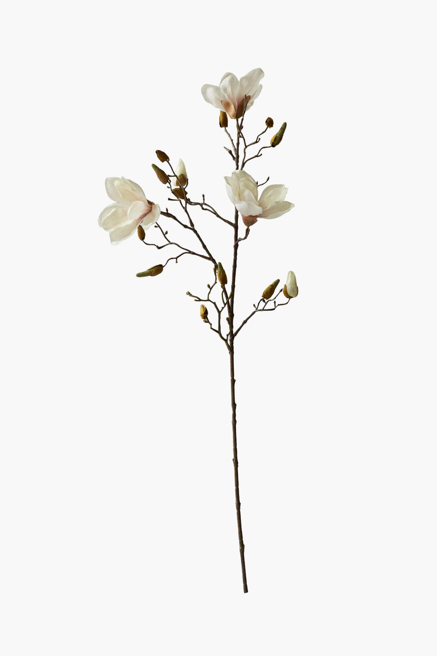 90cm Medium Branch Yulan Magnolia (Texture Printed Fabric) - Beige