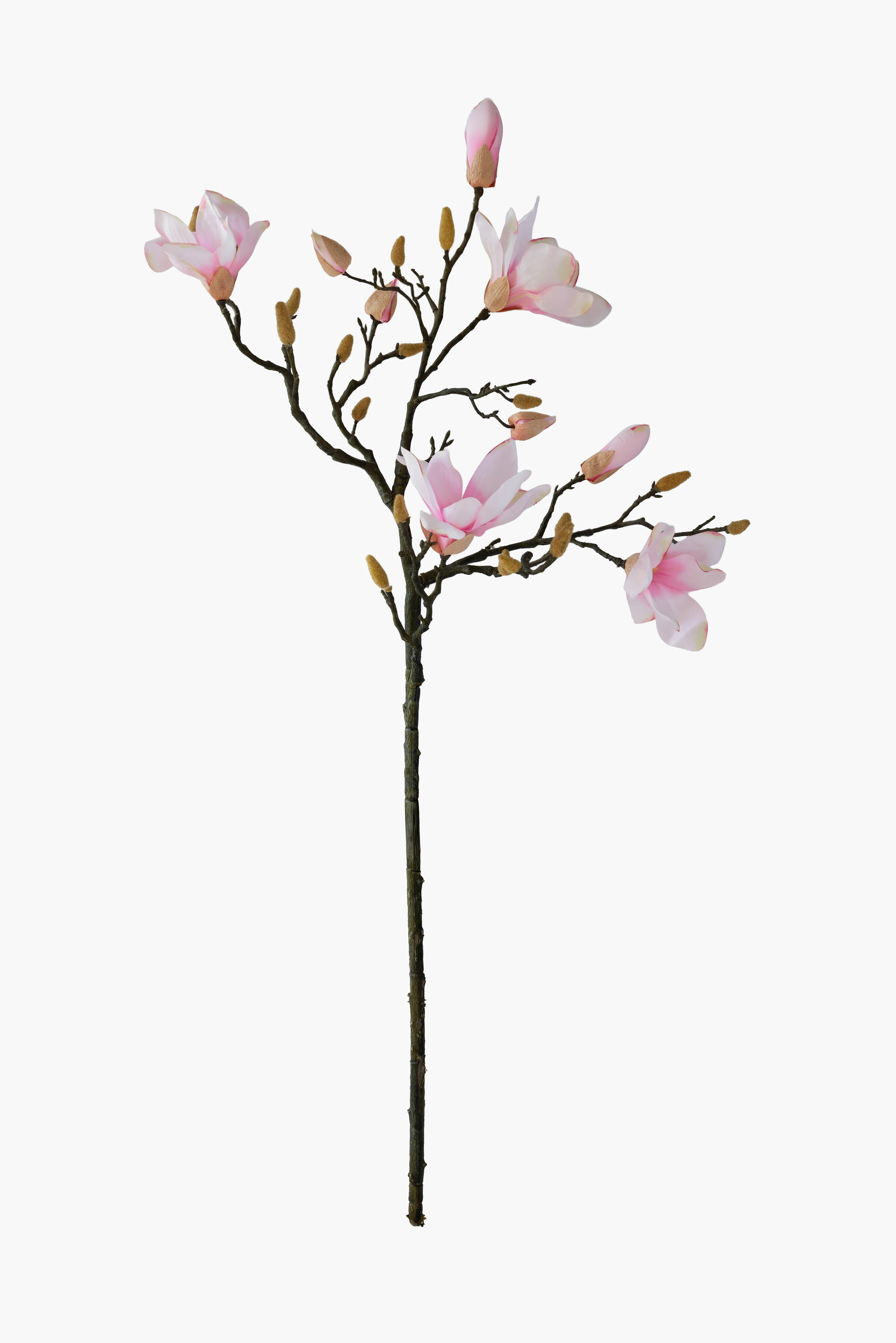 Large Branch Yulan Magnolia - Pink (Thick Stem)