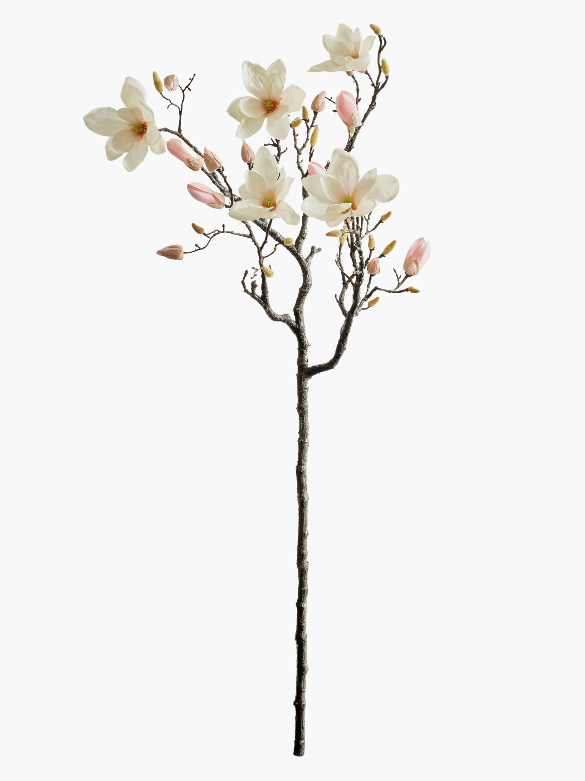 Large Branch Yulan Magnolia - Cream (Thick Stem)