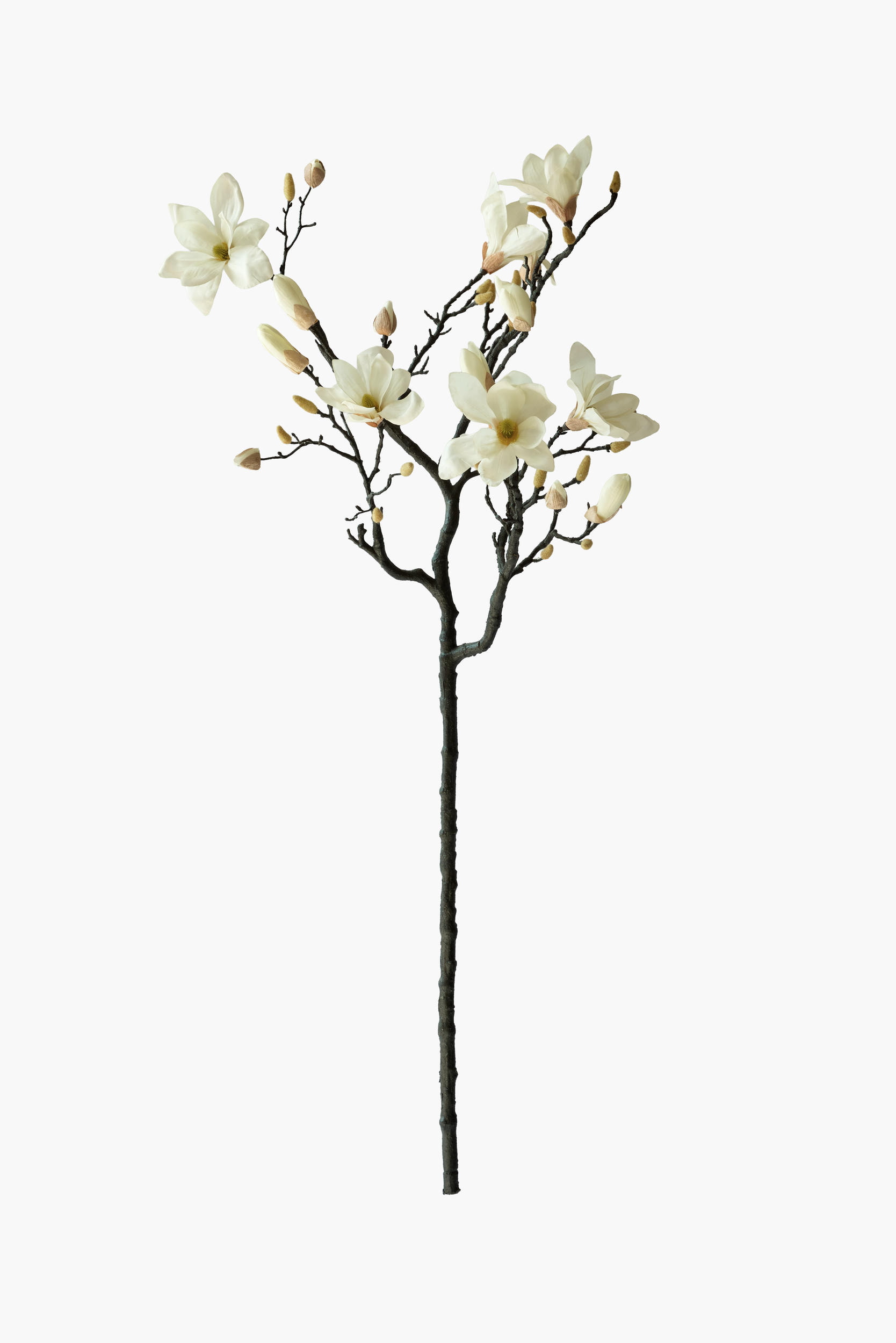 Large Branch Yulan Magnolia - Cream (Thick Stem)