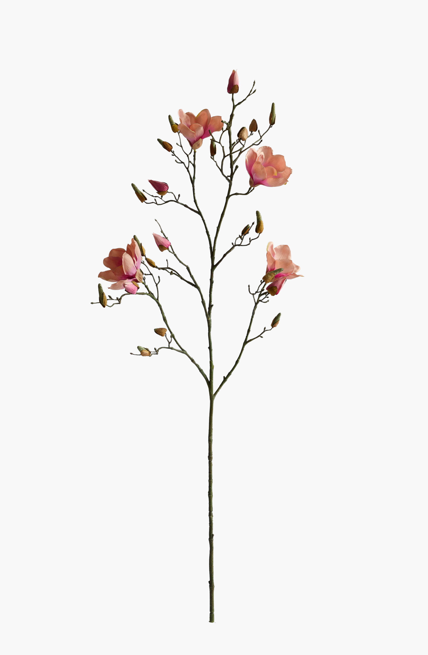 112cm Large Branch Yulan Magnolia - Coral