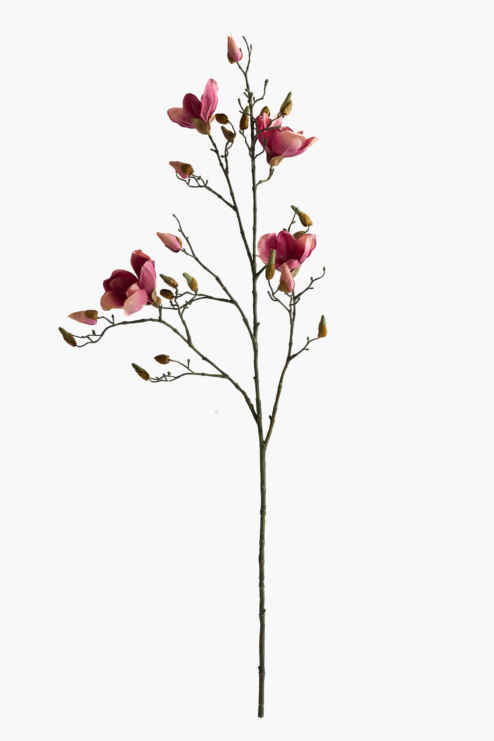 112cm Large Branch Yulan Magnolia - Dark Red