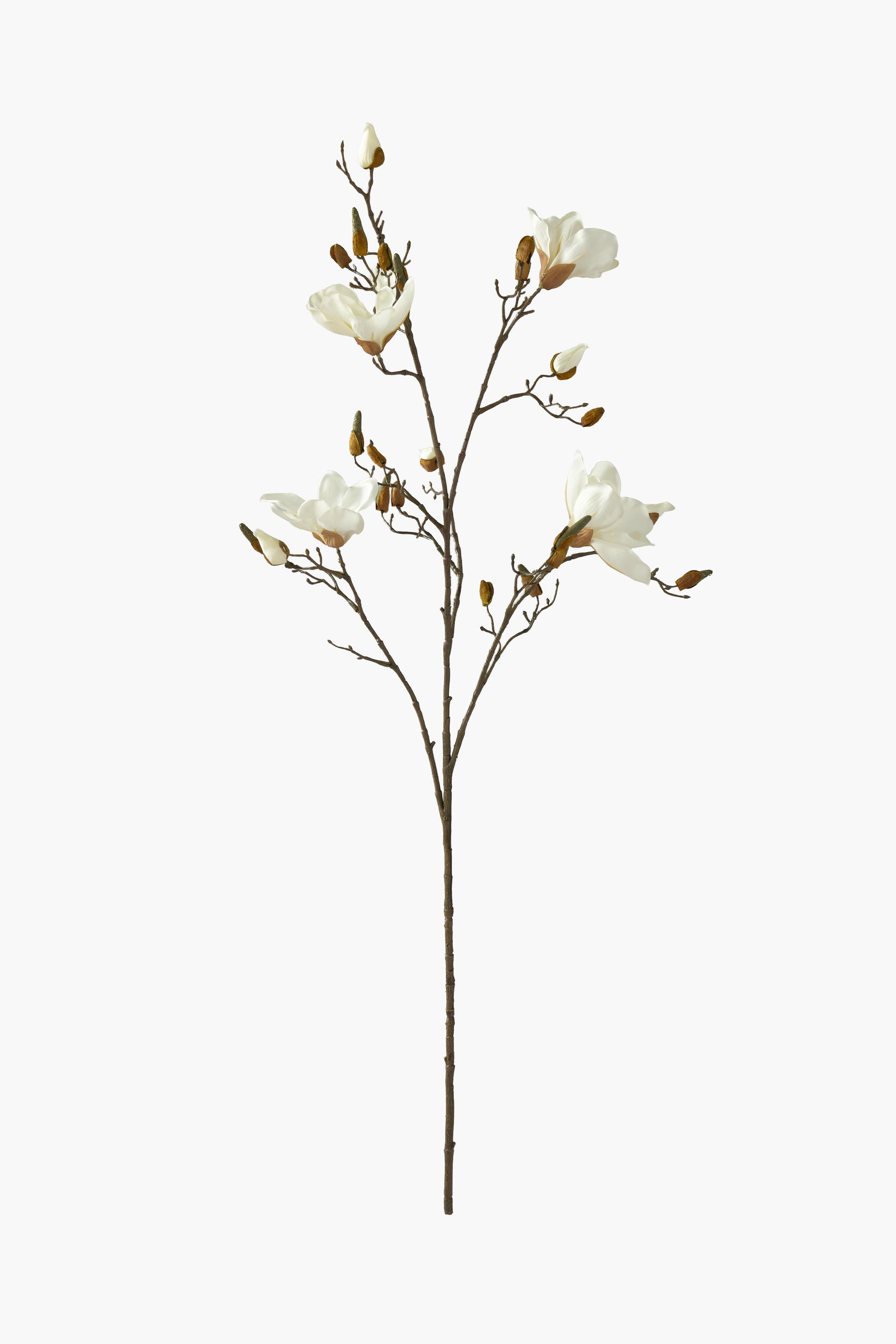 112cm Large Branch Yulan Magnolia - Cream