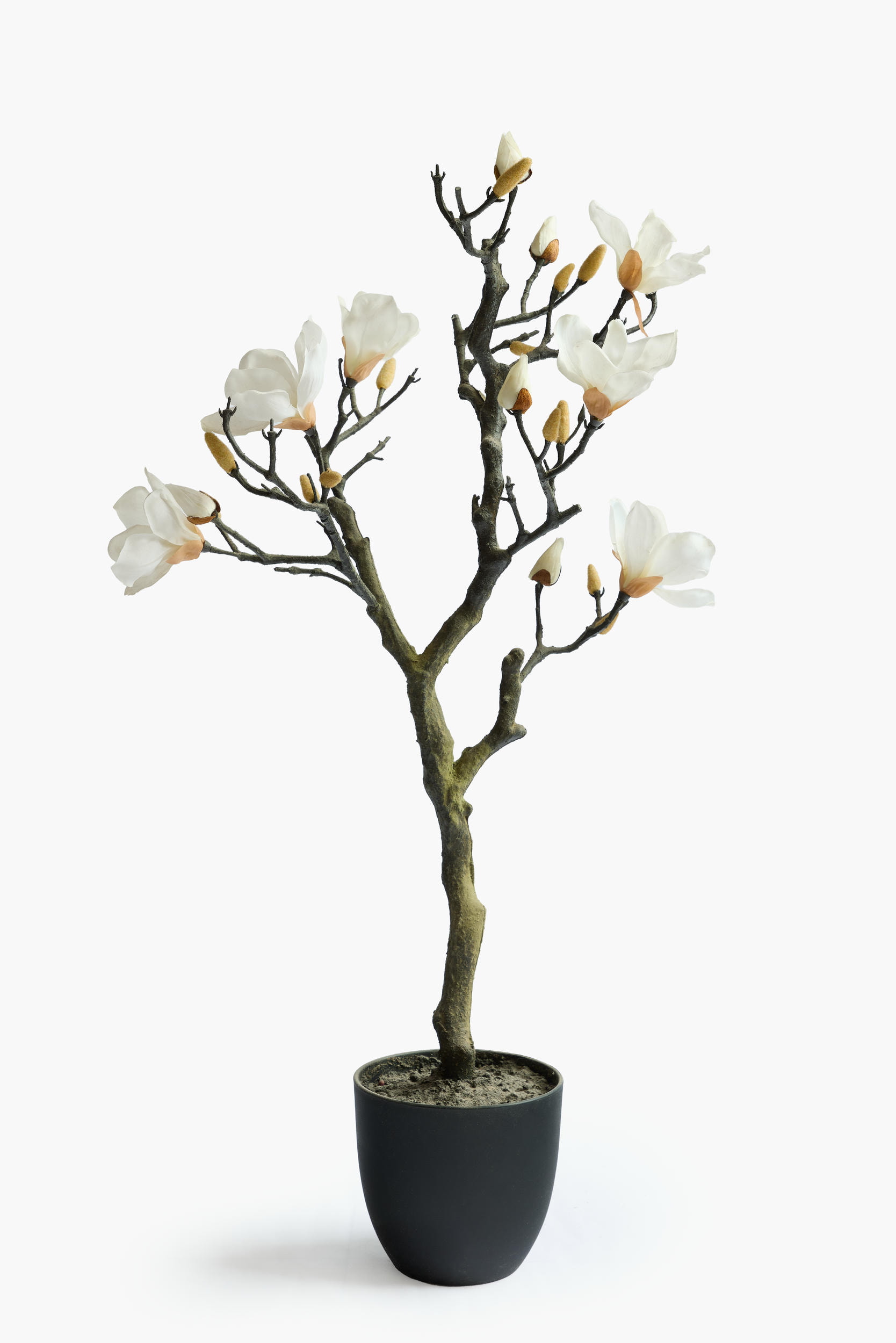 Large Branch Potted Collection - White