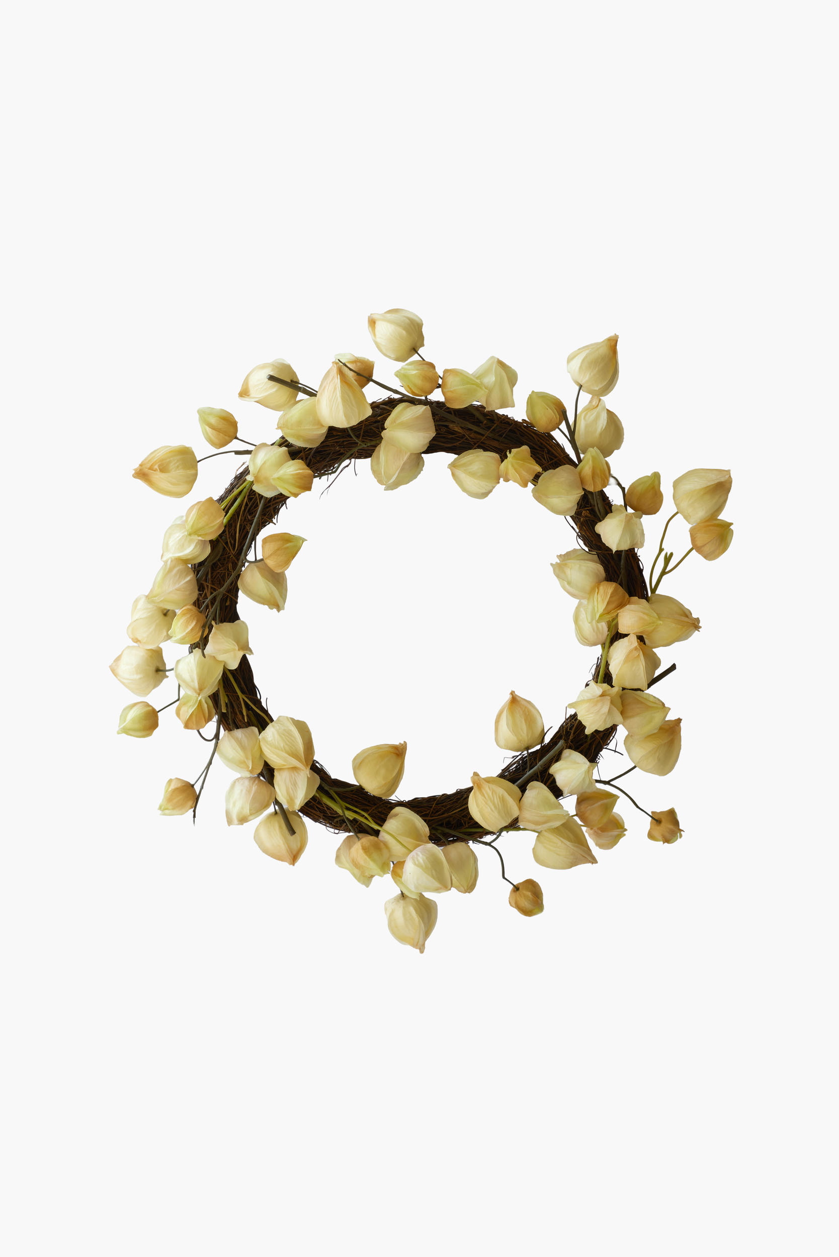 Physalis Wreath - Light Yellow